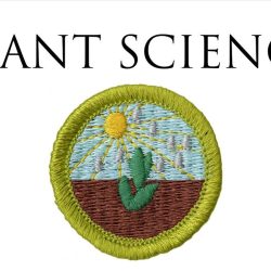 Plant science merit badge worksheet