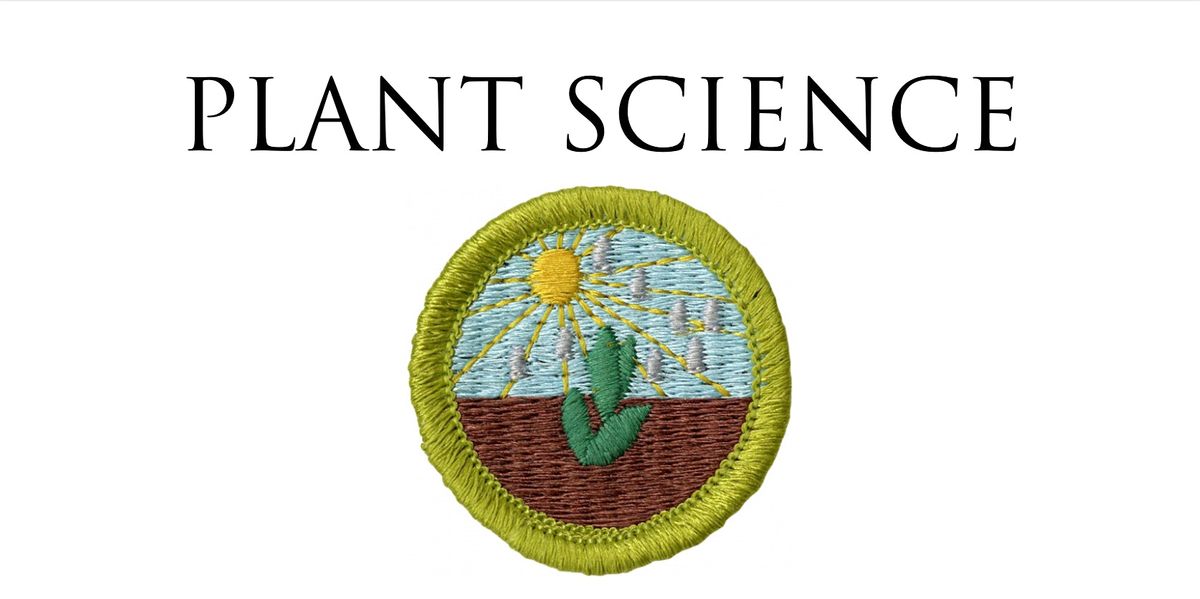 Plant science merit badge worksheet