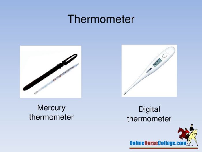 Temperature measuring heat instrument equipment thermometer digital