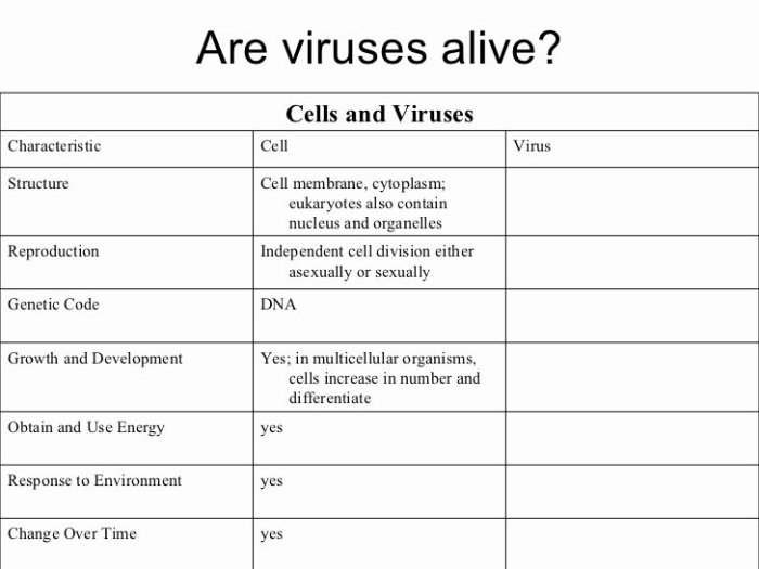 Characteristics of bacteria worksheet answers key