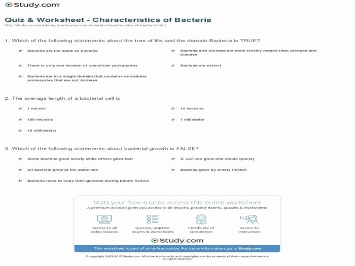 Characteristics of bacteria worksheet answers key