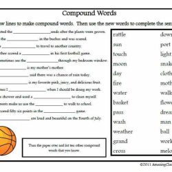 State-federal tug of war worksheet answers